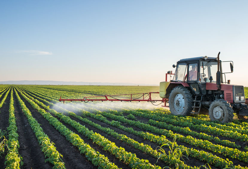 advantages and disadvantages of pesticides