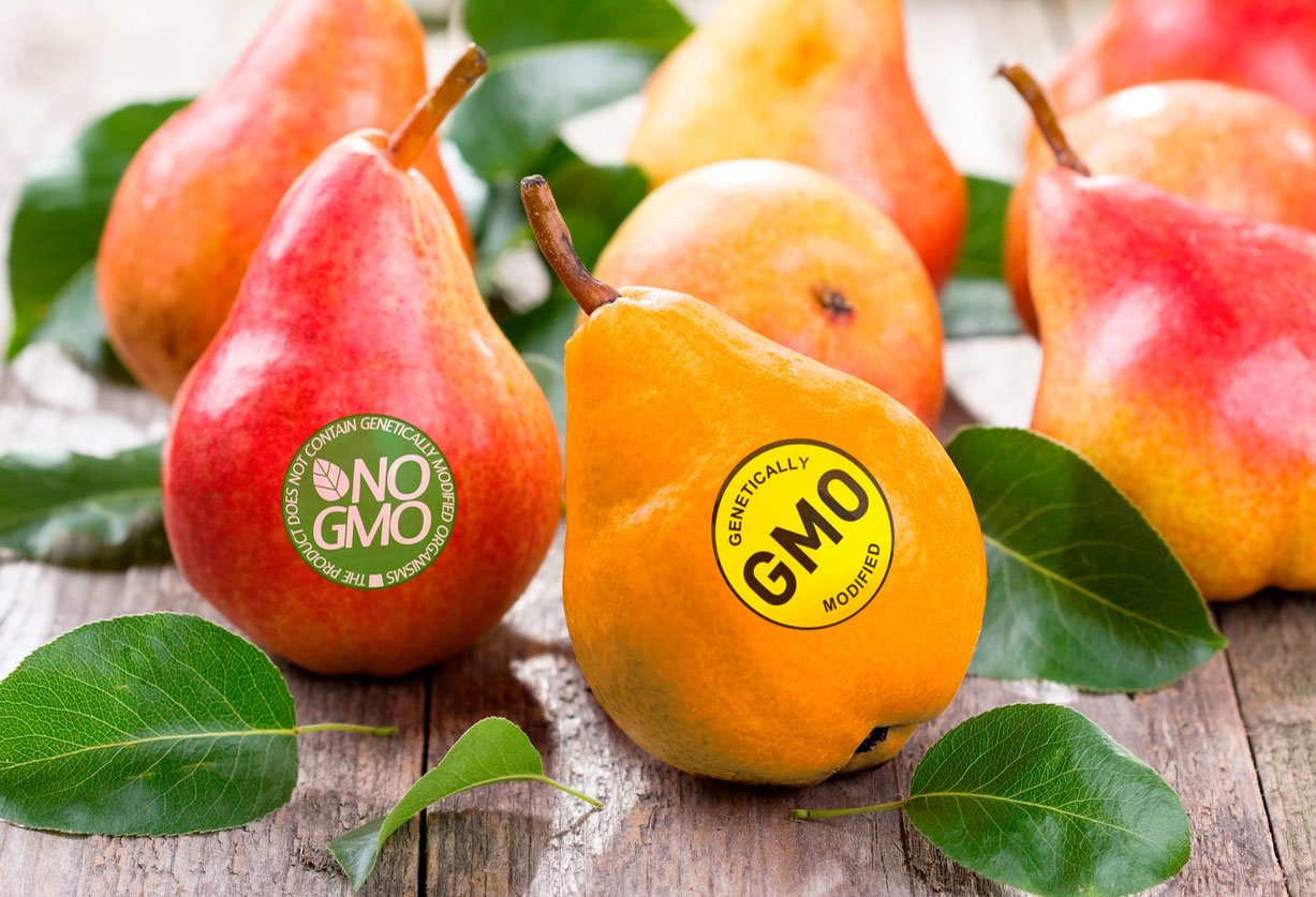 Impact of GMO Labeling Law